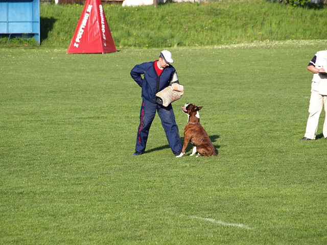 www.atibox.net * www.euroboxer.eu * www.boxergenealogia.eu